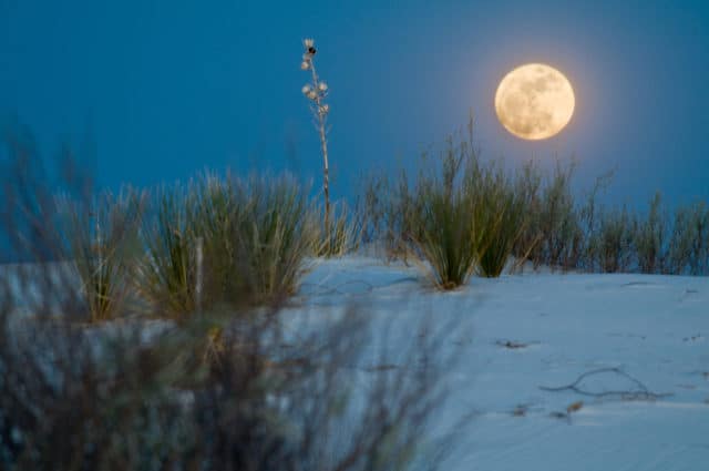 Moon-over-White-Sands-Photo-Credit-Bill-Faulkner-e1552101150243