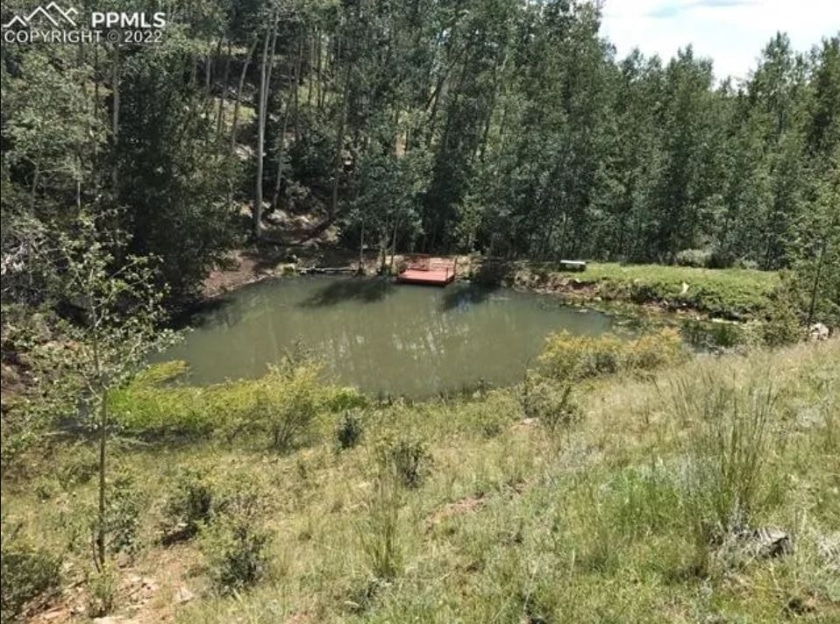 Boston bear, colorado, cabin