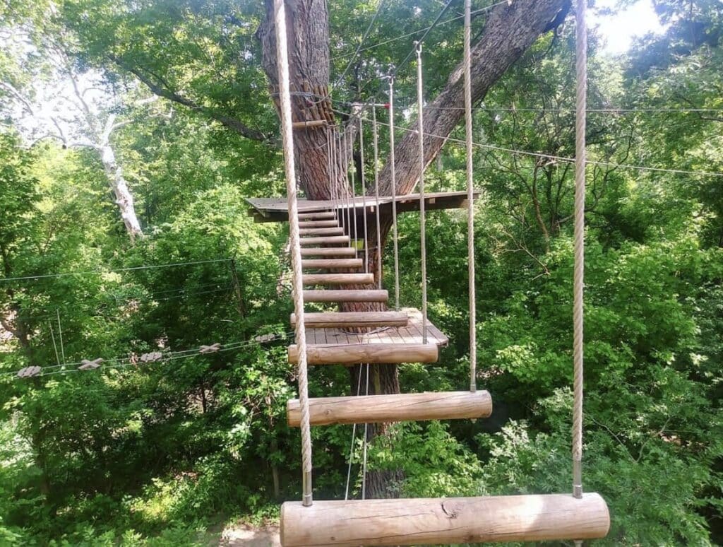 things to do with kids this summer in dfw - go ape!