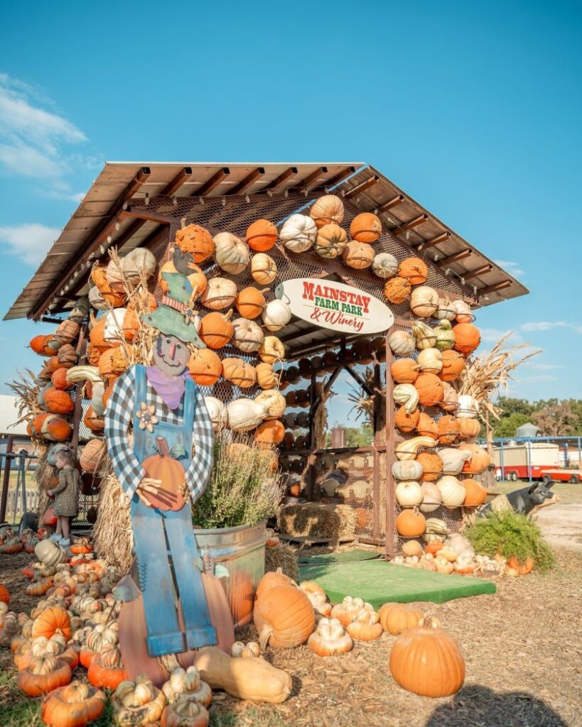 Mainstay Farm Fall Festival