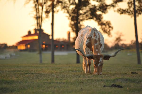 timber-creek-ranch-1-600