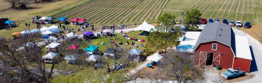 Tx-Ture Farm's National Alpaca Farm Day