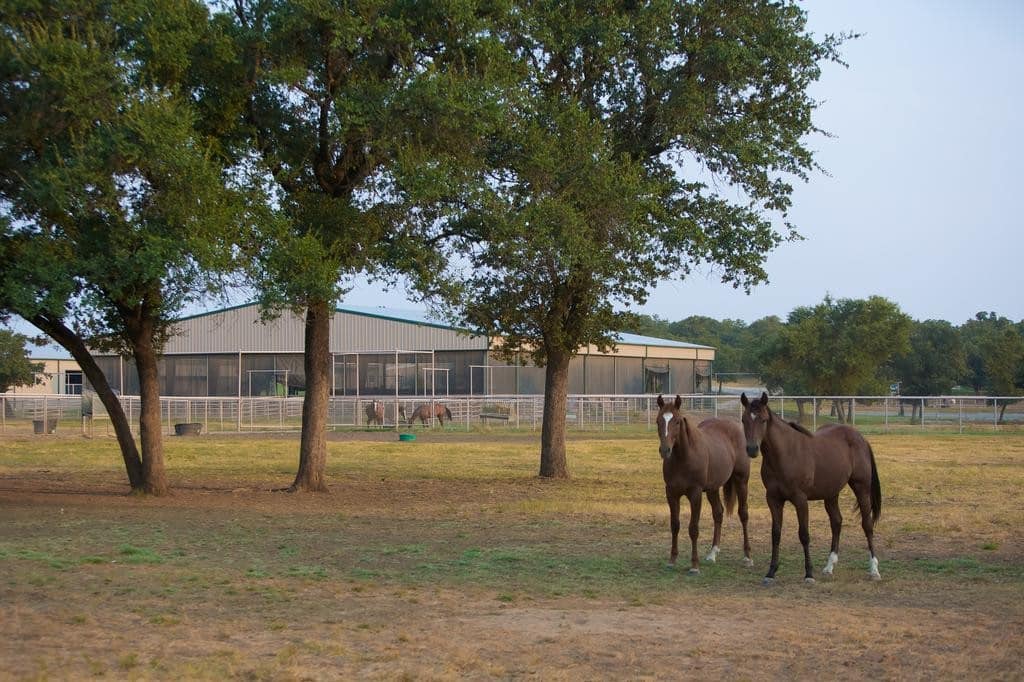 6-rocking-w-ranch-horses-and-arena-1024x682