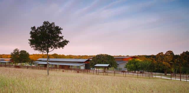 Aledo-Ranch-1