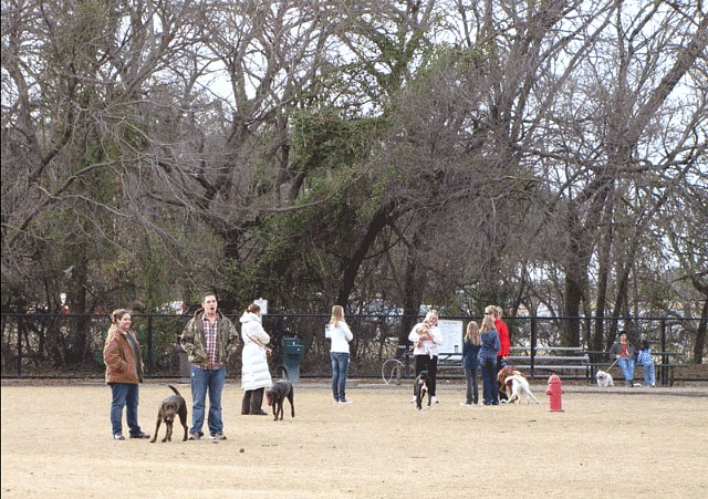 White-Rock-Dog-Park