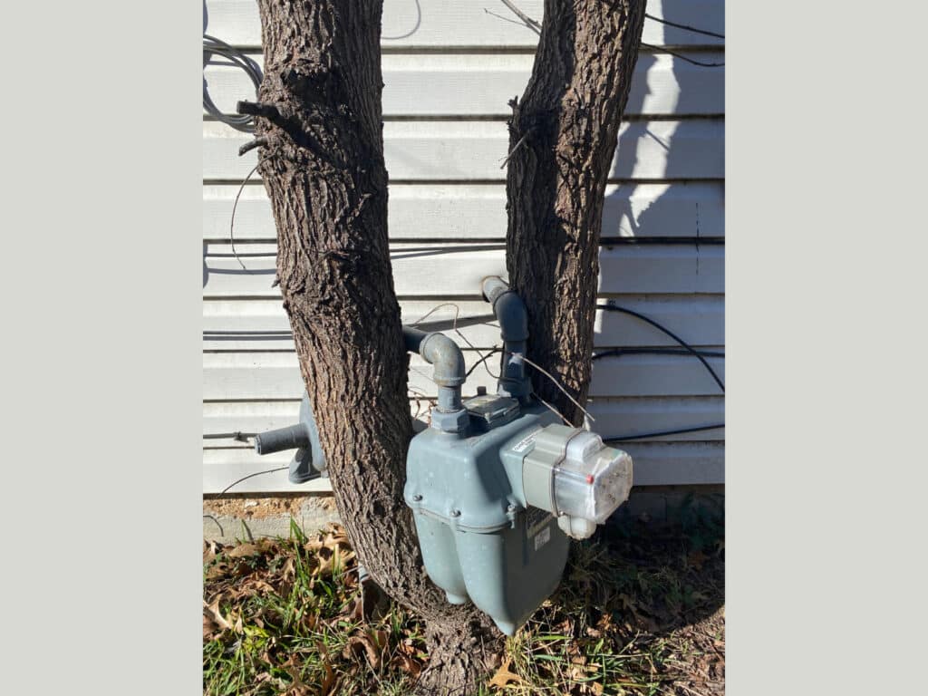 Rooted-Gas-Meter-1-1024x768
