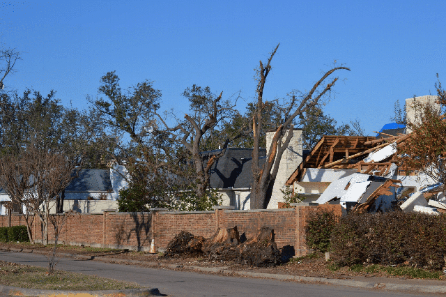Tornado-Tree-Damage