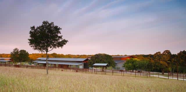 Williams-trew-ranch
