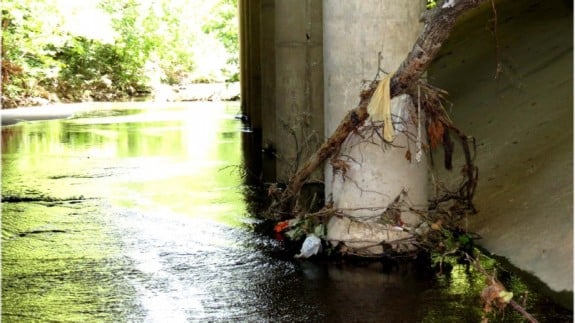 bag-litter-2-Five-Mile-Creek-575x323