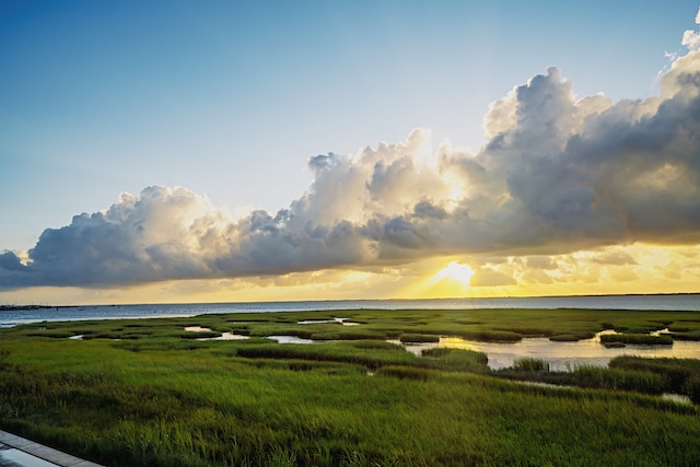 Port-Aransas