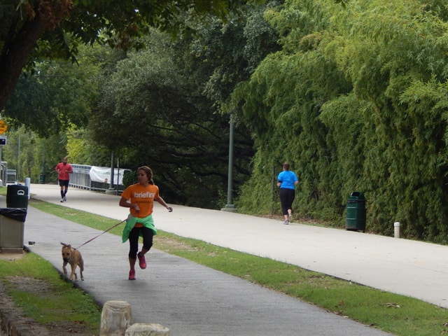 katytrail